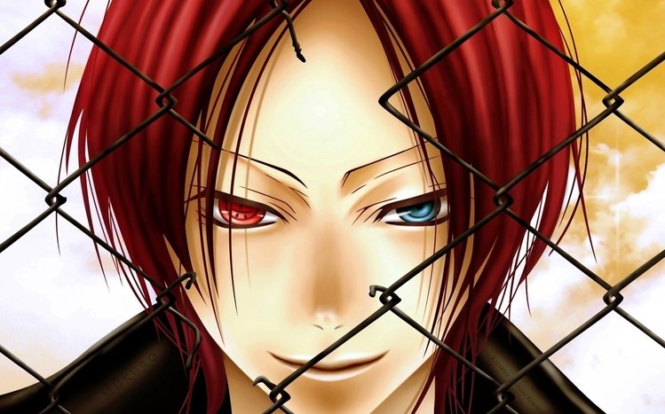 Katekyo Hitman Reborn Theme screenshot #9