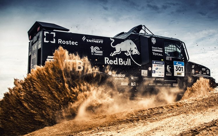 Rally Theme screenshot #13