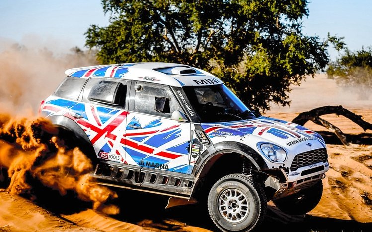 Rally Theme screenshot #11