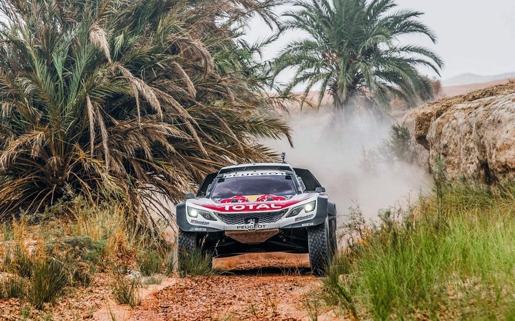 Rally Theme screenshot #14