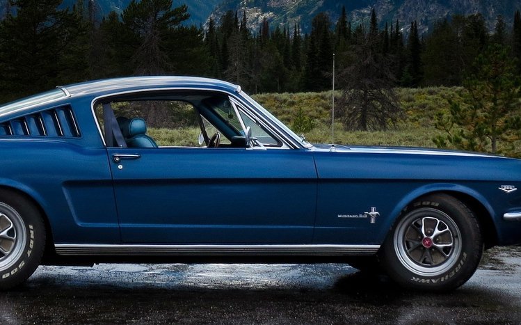 Ford Mustang Fastback Theme screenshot #5