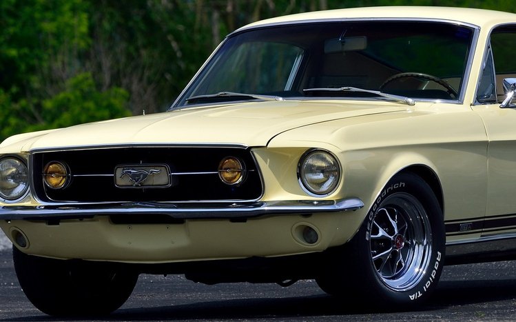 Ford Mustang Fastback Theme screenshot #12