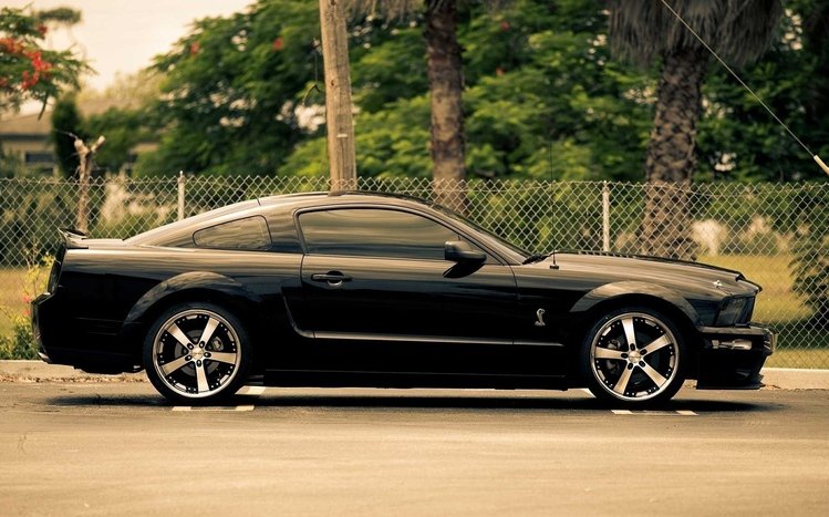 Ford Shelby GT500 Theme screenshot #6