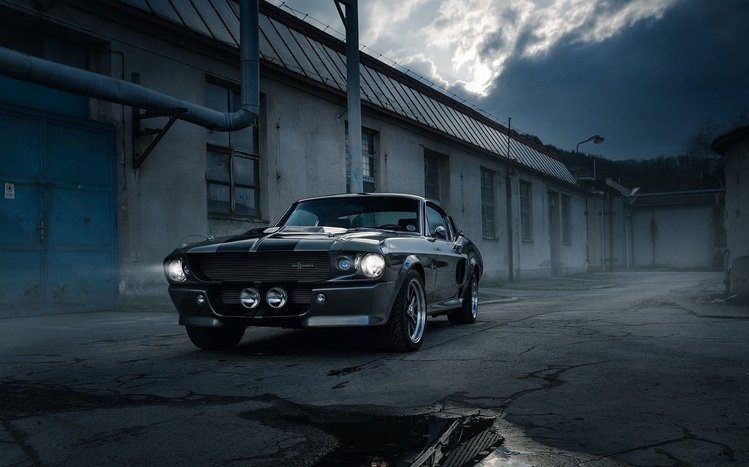 Ford Shelby GT500 Theme screenshot #13