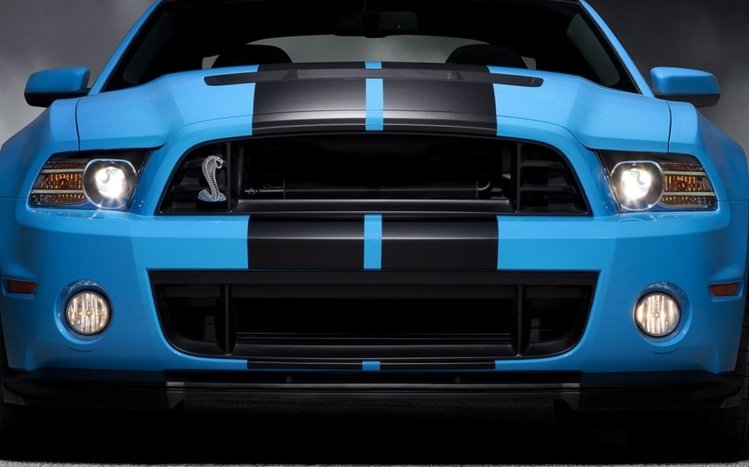 Ford Shelby GT500 Theme screenshot #9
