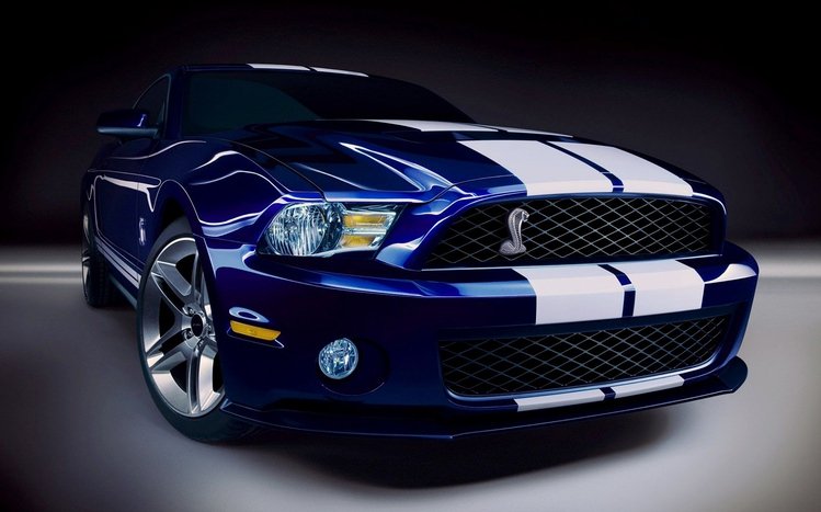 Ford Shelby GT500 Theme screenshot #3