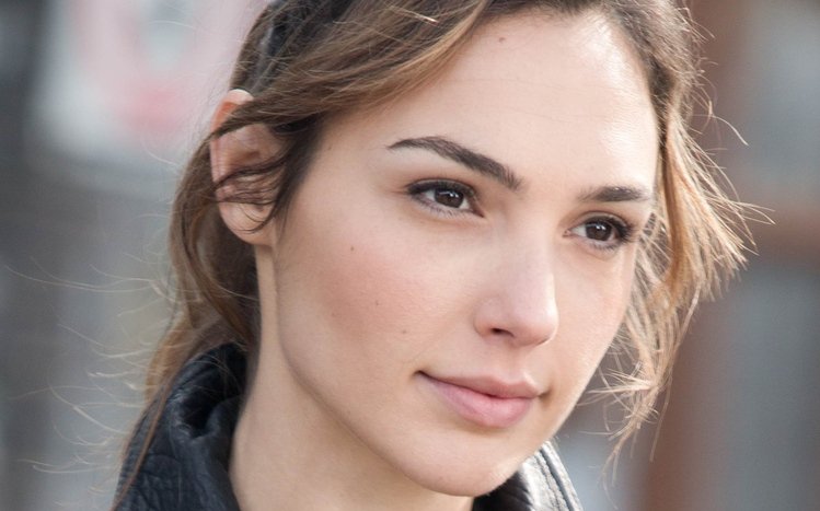 Gal Gadot Theme screenshot #4