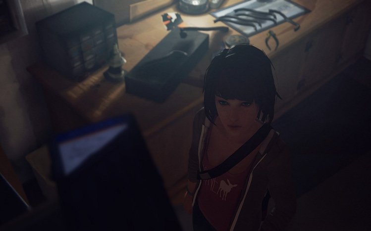 Life Is Strange Theme screenshot #15