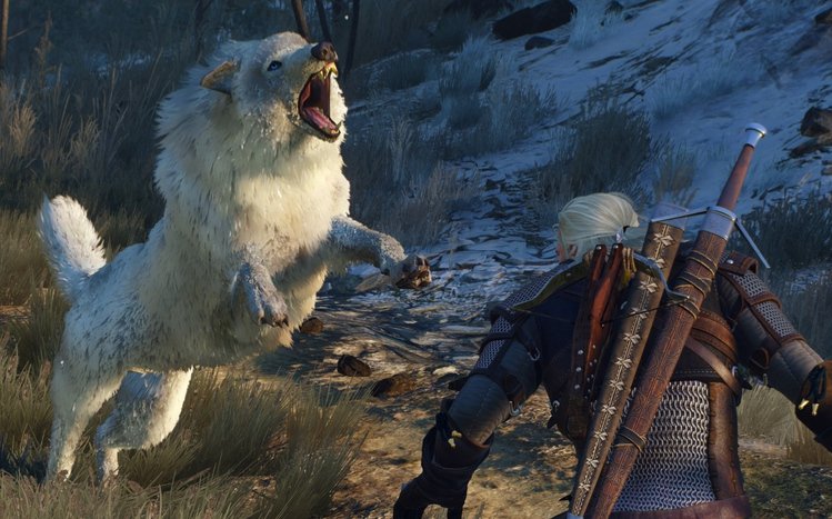 Geralt of Rivia Theme screenshot #13