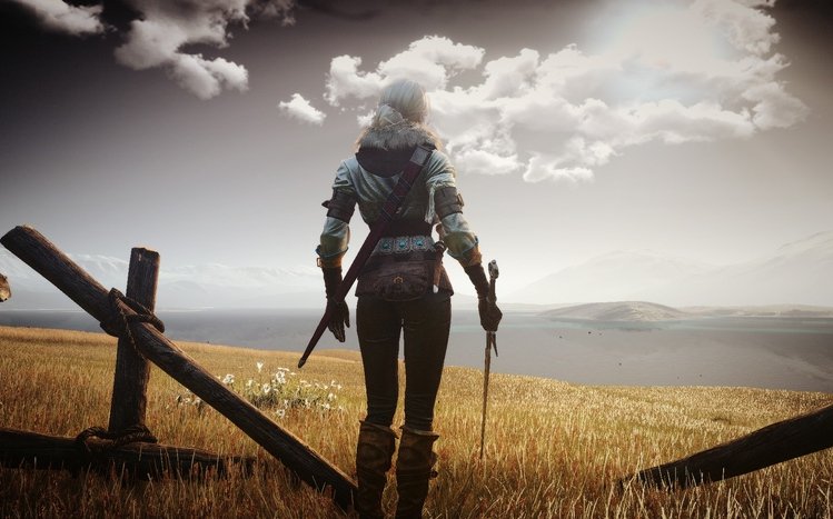 Ciri (The Witcher) Theme screenshot #7