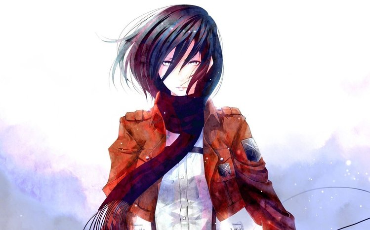 Mikasa Ackerman Theme screenshot #10