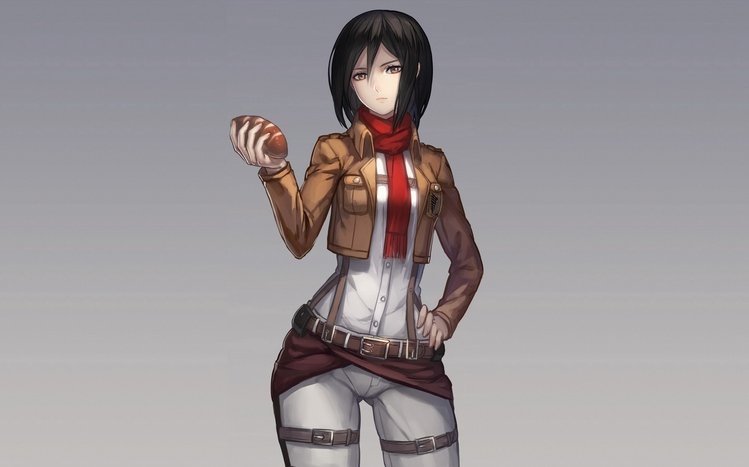 Mikasa Ackerman Theme screenshot #4
