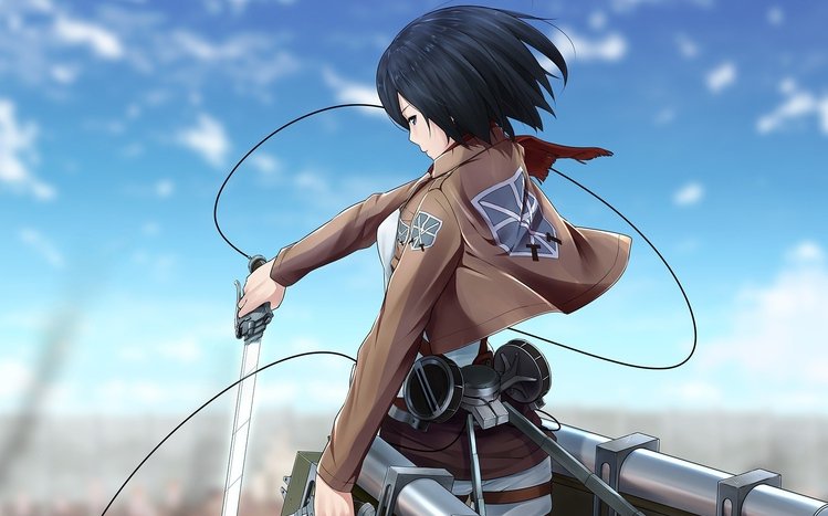 Mikasa Ackerman Theme screenshot #1