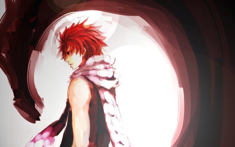 Natsu Dragneel Theme screenshot #3