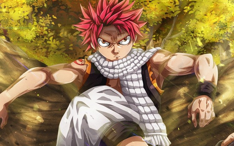 Natsu Dragneel Theme screenshot #6