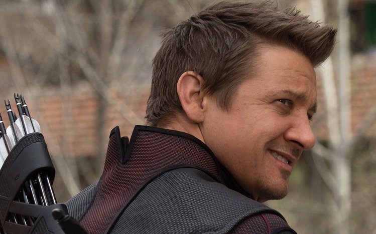 Hawkeye (Avengers) Theme screenshot #13