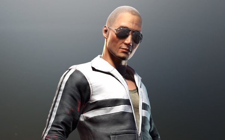 PUBG skins Theme screenshot #5