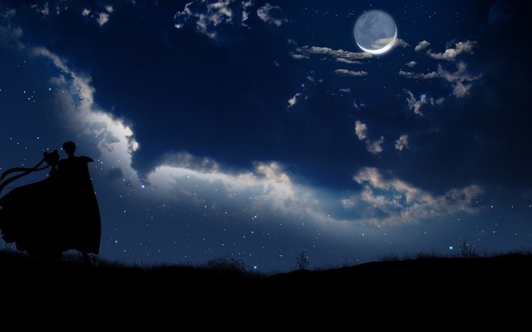 Sailor Moon Theme screenshot #8