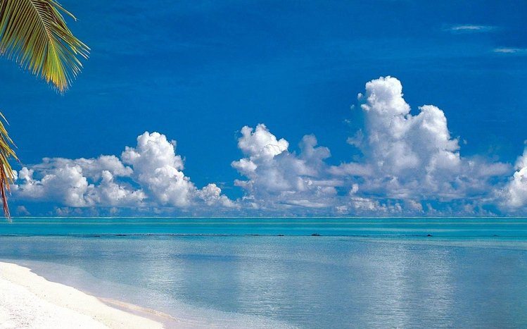 Tropical Summer Theme screenshot #5