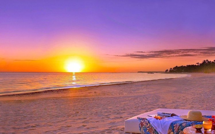 Tropical Summer Theme screenshot #9