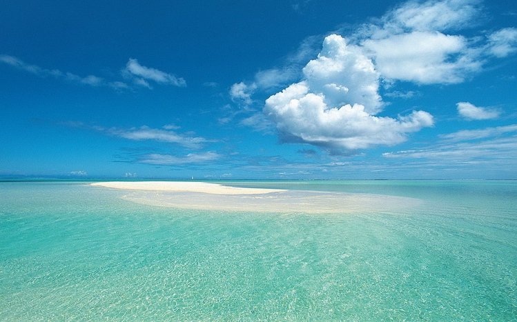 Tropical Summer Theme screenshot #3