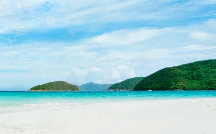 Tropical Summer Theme screenshot #11