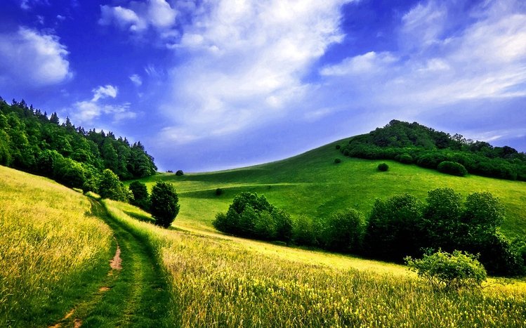 Summer Landscape Theme screenshot #1