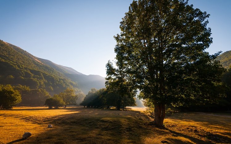 Summer Landscape Theme screenshot #3