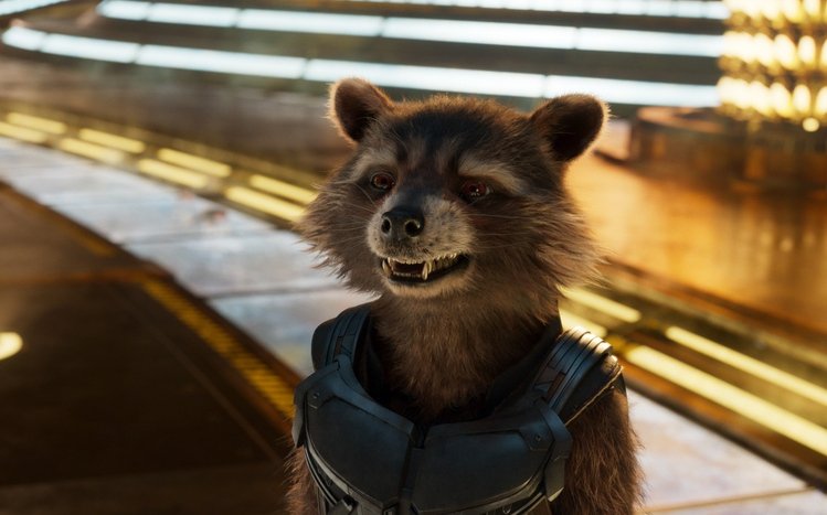Rocket Raccoon Theme screenshot #6