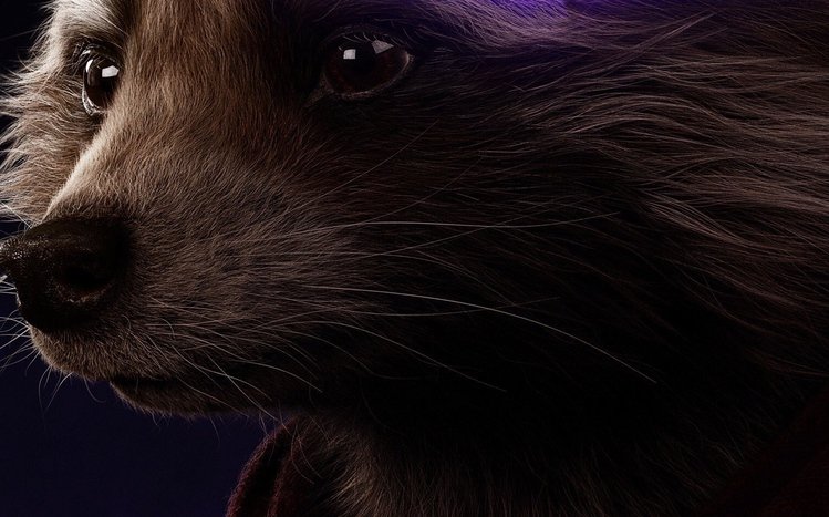 Rocket Raccoon Theme screenshot #14