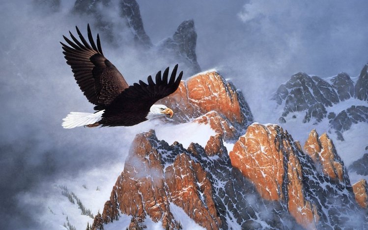 Bald Eagle Theme screenshot #5