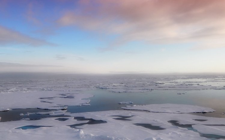 Antarctica Theme screenshot #8