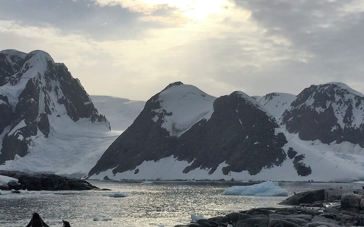 Antarctica Theme screenshot #11