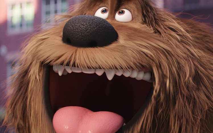 The Secret Life of Pets Theme screenshot #8