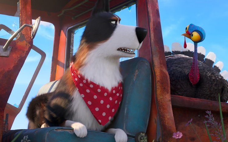The Secret Life of Pets Theme screenshot #12