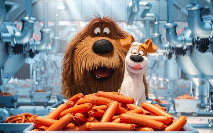 The Secret Life of Pets Theme screenshot #9