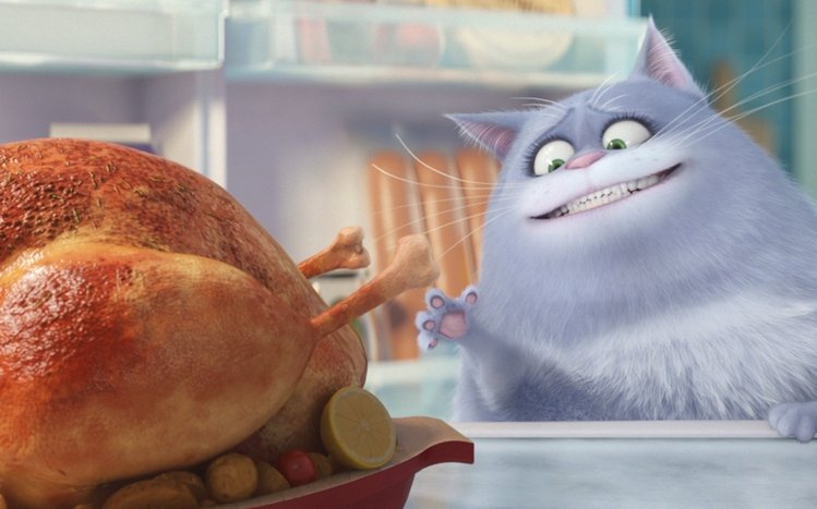 The Secret Life of Pets Theme screenshot #4