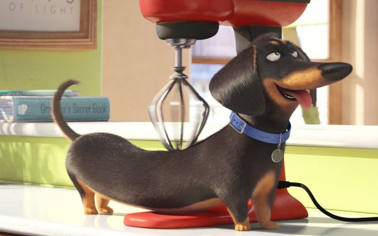 The Secret Life of Pets Theme screenshot #5