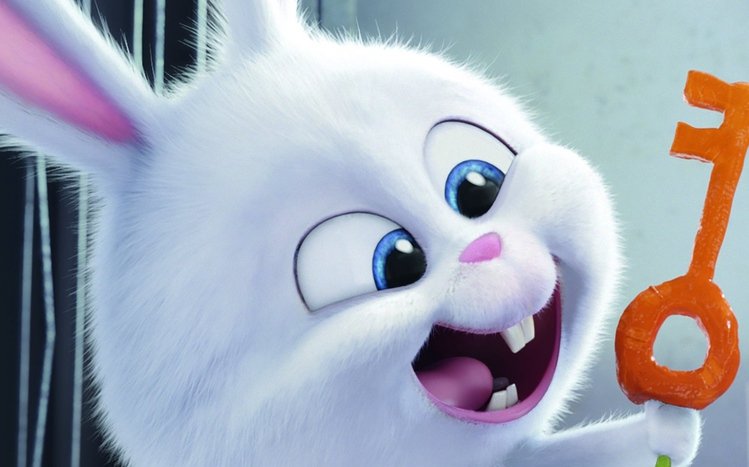 The Secret Life of Pets Theme screenshot #6