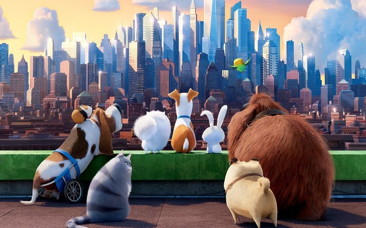 The Secret Life of Pets Theme screenshot #7