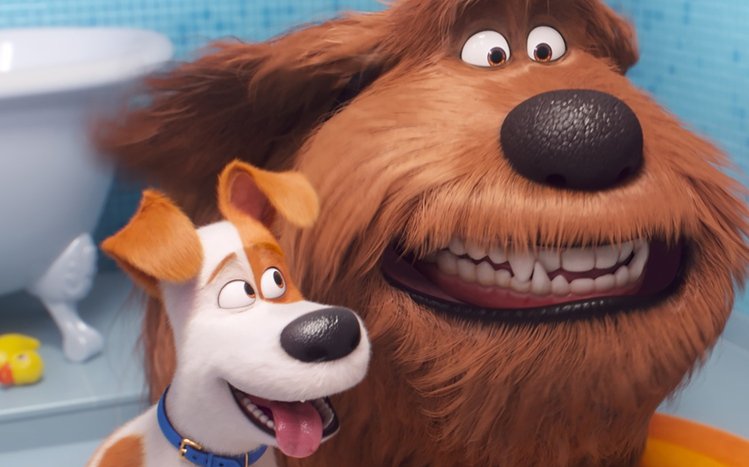 The Secret Life of Pets Theme screenshot #13