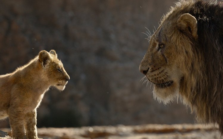 The Lion King (2019) Theme screenshot #9