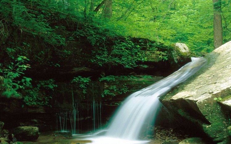 Forest Waterfall Theme screenshot #4