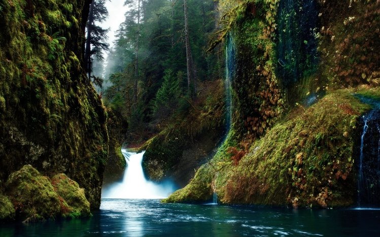 Forest Waterfall Theme screenshot #1