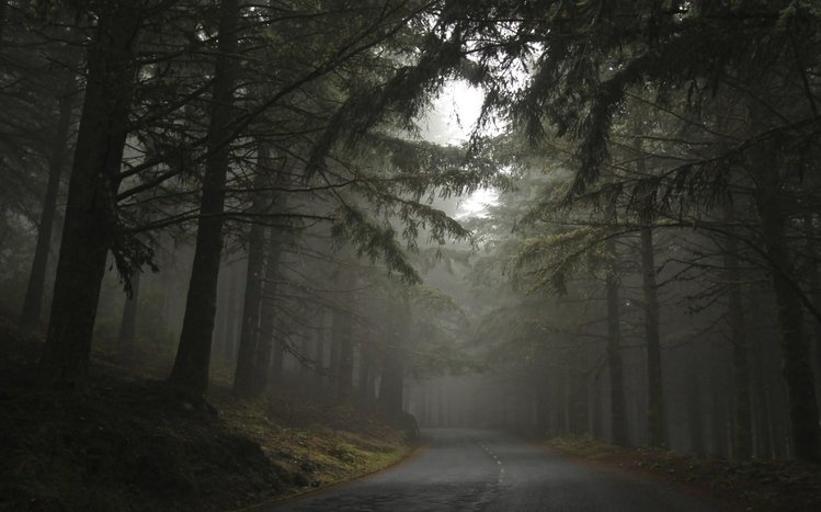 Foggy Forest Theme screenshot #6