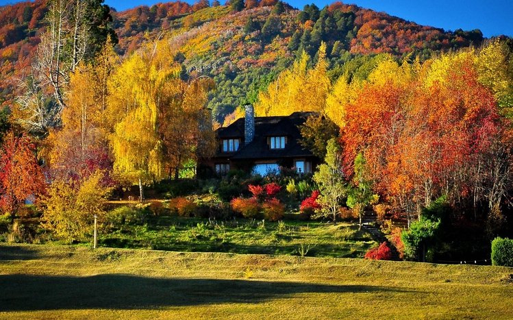 Autumn Forest Theme screenshot #10