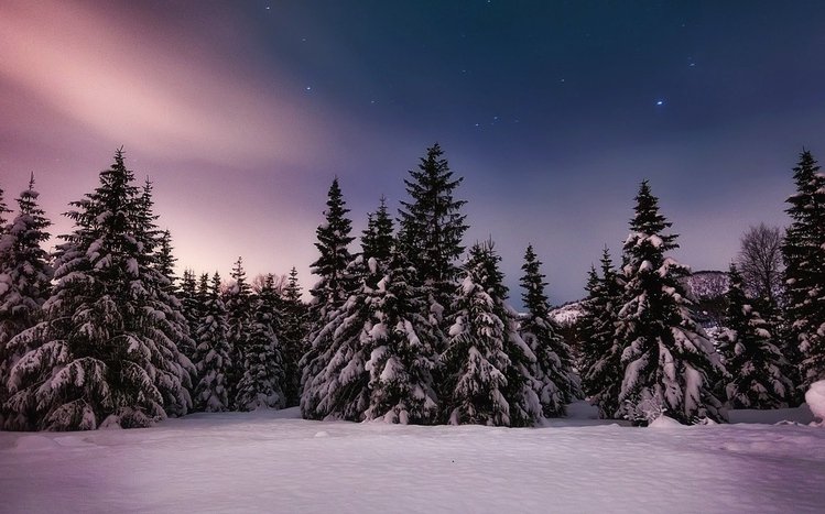 Winter Forest Theme screenshot #6