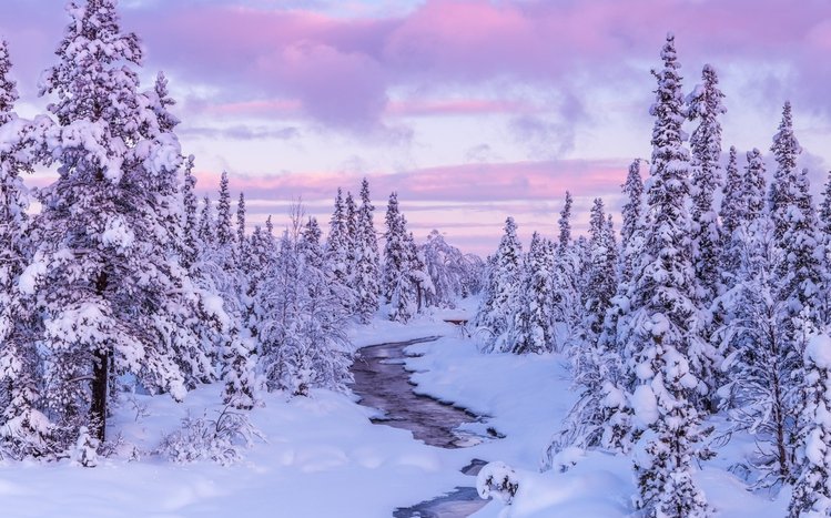 Winter Forest Theme screenshot #11