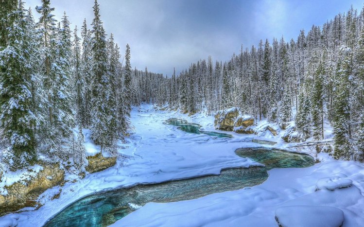 Winter Forest Theme screenshot #15