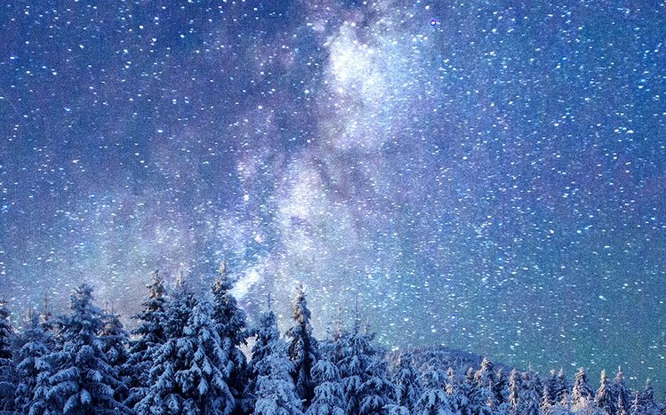 Winter Forest Theme screenshot #1